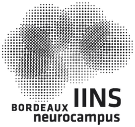 IINS, Bordeaux Neurocampus (CNRS)