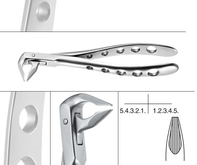 DAVIER FORME ANGLAISE FIGURE 36N - Pince à extraction dentaire Helmut Zepf (12.036.07Z) - Delynov