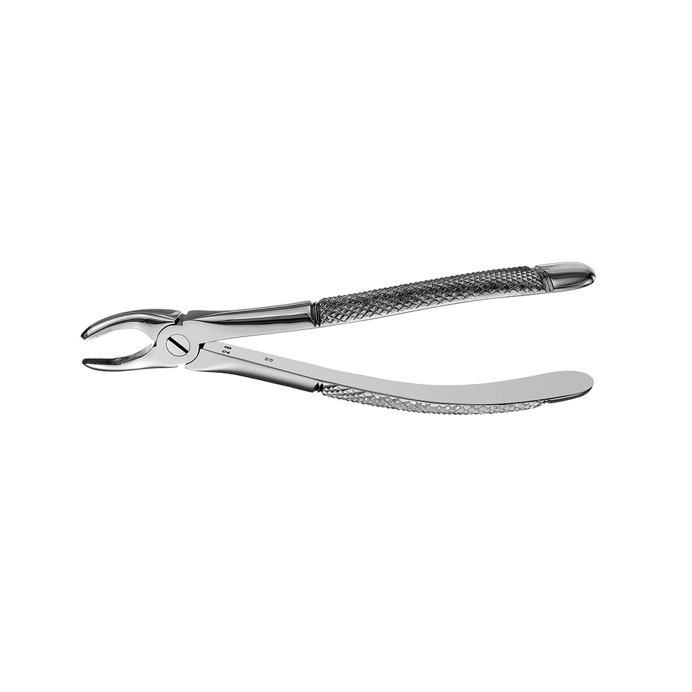 European Superior Premolar Bright - Hu-Friedy - Delynov Dental Number 7