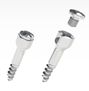 Vis tente diamètre 1.6mm longueur 10mm (vis + capuchon) - Jeil Medical (16-TT-010) - Delynov