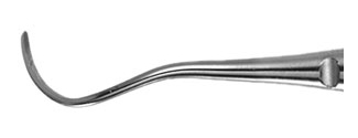 Curette Point - Helmut Zepf (24.751.117MC) - Delynov