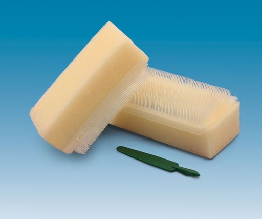 [32.Z0500.00] Sponge-brush Tecnoscrub Omnia - Delynov x24